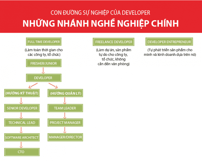 developer career path